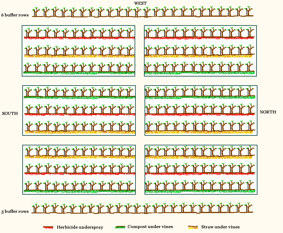 The figure shows the layout of the three treatments in six blocks on the vineyard. There are three blocks on the north side of the vineyard and three blocks on the south side of the vineyard. Each treatment was applied to six adjacent rows of vines.